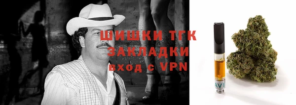 прущие грибы Богородск