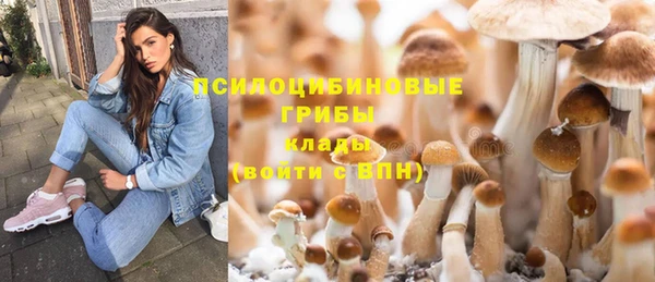spice Тихвин